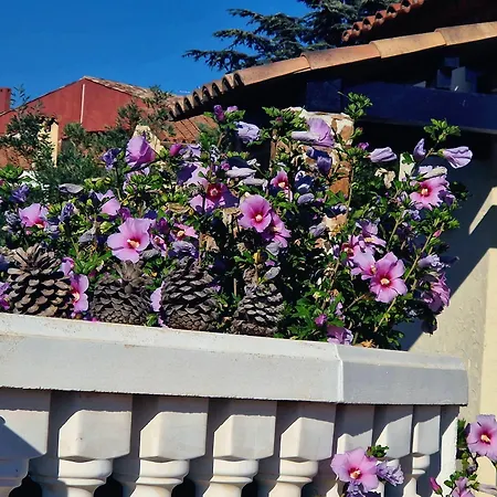 Anthea * Saint-Raphaël