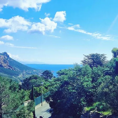 Anthea Saint-Raphaël