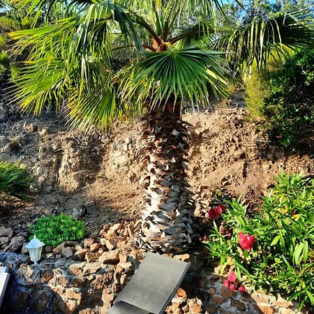 ヴィラ Anthea Saint-Raphaël